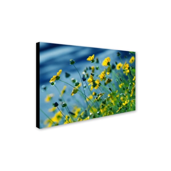 Beata Czyzowska Young 'Power In Flower' Canvas Art,30x47